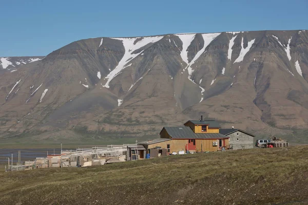 Casas Madeira Coloridas Tradicionais Dia Ensolarado Longyearbyen Svalbard — Fotografia de Stock