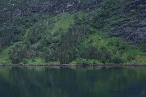 Fiordo Geiranger Bella Natura Norvegia Tratta Ramo Lungo Chilometri Largo — Foto Stock