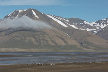 Norveç 'in Longyear, Spitsbergen yakınlarındaki güzel doğa ve manzara.