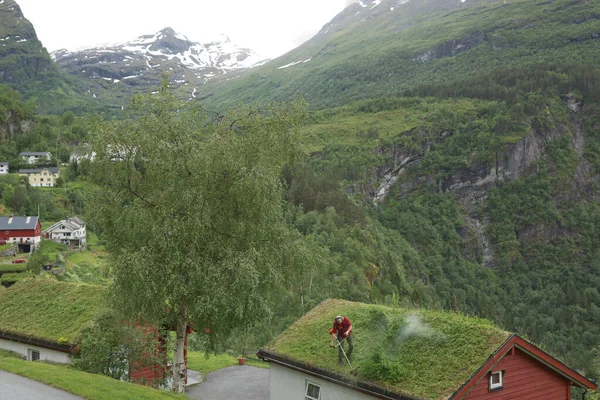 Орангер Норвегия Июня 2017 Года Мужчина Срезал Крышу Своем Старом — стоковое фото