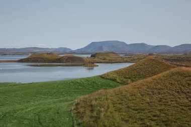 Beautiful and rare area of pseudo craters aka volcanics near Skutustadir and lake Myvatn in Iceland. clipart