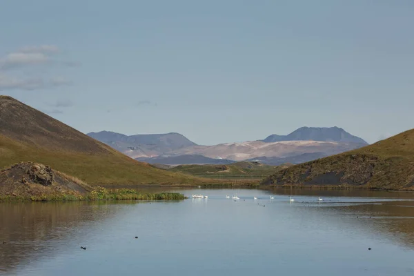 Beautiful Rare Area Pseudo Craters Aka Volcanics Skutustadir Lake Myvatn — Stock Photo, Image