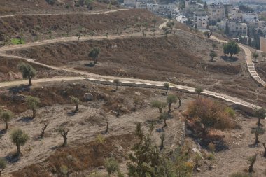 İsrail 'in kutsal şehri Kudüs' ün manzarası Zeytin Dağı 'ndan.
