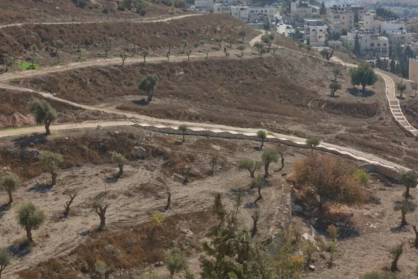İsrail 'in kutsal şehri Kudüs' ün manzarası Zeytin Dağı 'ndan.