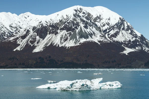 ハバード氷河、アラスカを閉じる大きな氷山が浮かぶ — ストック写真