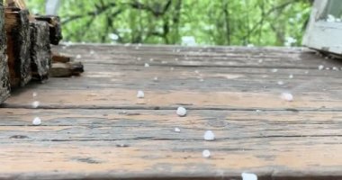 Şehirde yaz yağmuru