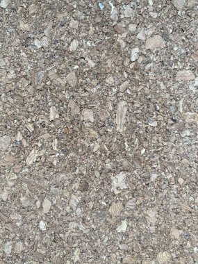 desen mantarı kahverengi doğal gürültü