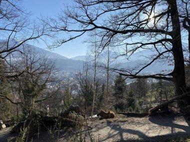 Hayvanat bahçesindeki kafeste geyik