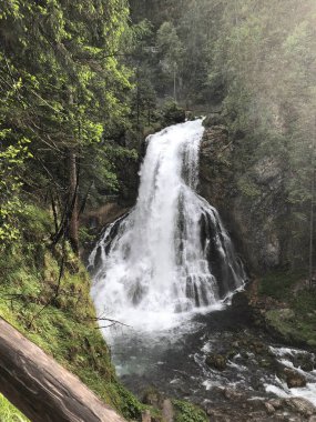 Avustralya 'daki ormanların en güzel şelalesi.