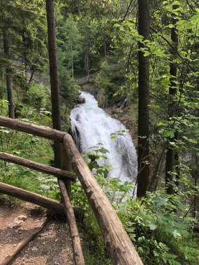 Avustralya 'daki ormanların en güzel şelalesi.