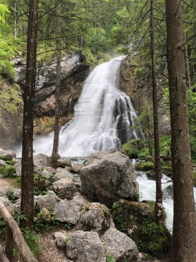 Avustralya 'daki ormanların en güzel şelalesi.