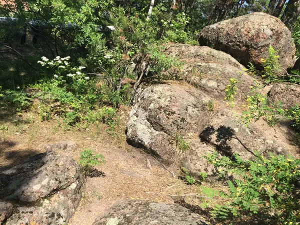 Enormes Piedras Bosque Krasnoyarsk — Foto de Stock