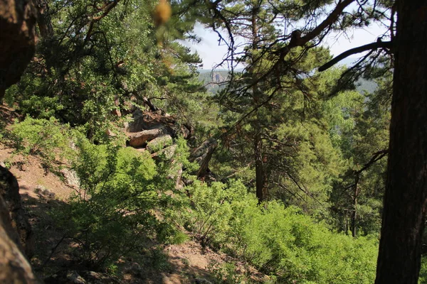 Τεράστιες Πέτρες Στο Δάσος Του Κρασνογιάρσκ — Φωτογραφία Αρχείου