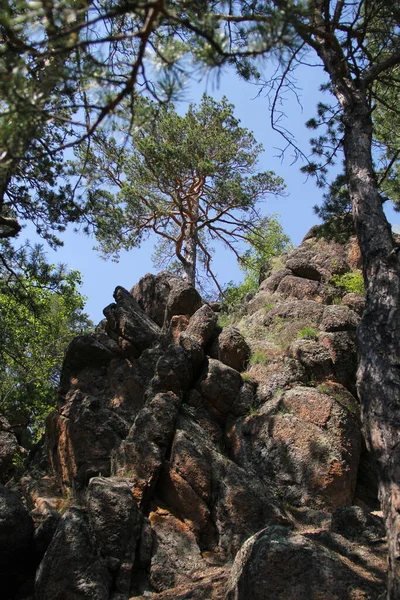 クラスノヤルスクの森の巨石 — ストック写真