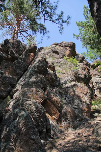 Énormes Pierres Dans Forêt Krasnoïarsk — Photo