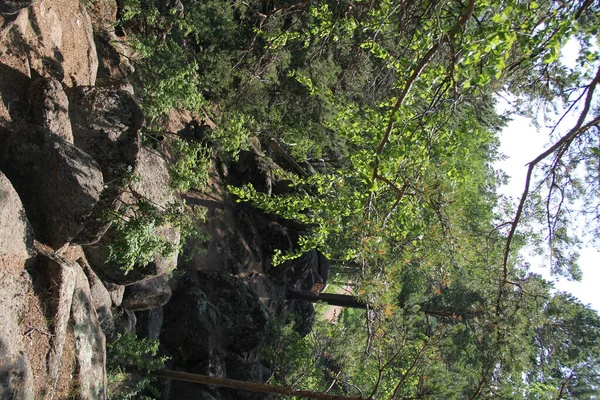 Enormes Piedras Bosque Krasnoyarsk — Foto de Stock