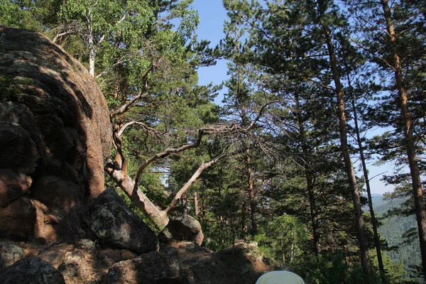 Enormes Piedras Bosque Krasnoyarsk — Foto de Stock