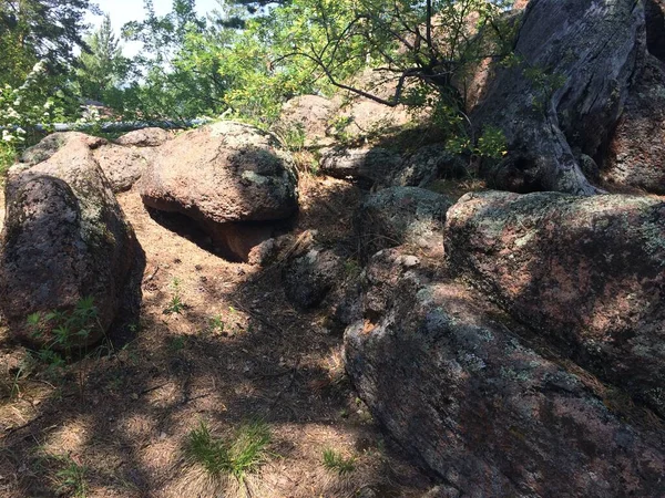 Enormes Piedras Bosque Krasnoyarsk —  Fotos de Stock