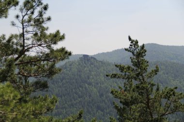 Ormandaki güzel Krasnoyarsk Dağları Sütunları