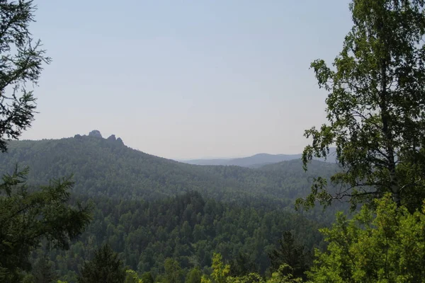 Bellissimi Pilastri Delle Montagne Krasnoyarsk Nella Foresta — Foto Stock