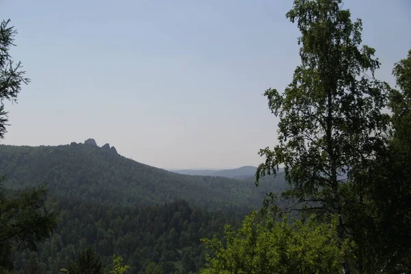 Beaux Piliers Montagnes Krasnoïarsk Dans Forêt — Photo