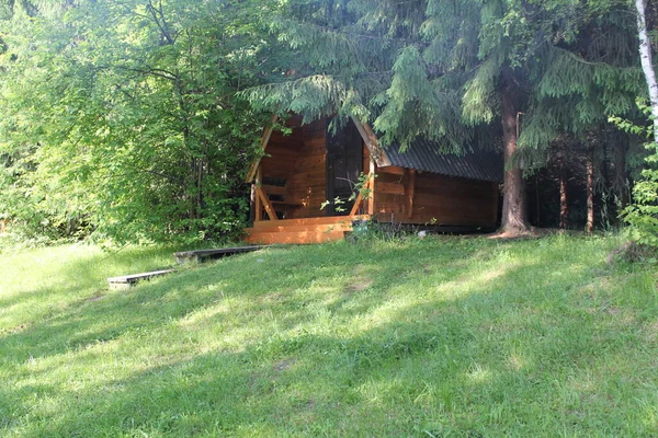 Maison Rondins Dans Forêt — Photo