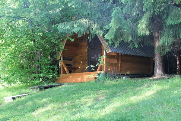 Maison Rondins Dans Forêt — Photo