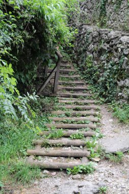 Parktaki ağaçların arasında merdivenler