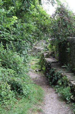 Parkta, taşların ve ağaçların arasında gezinmek.