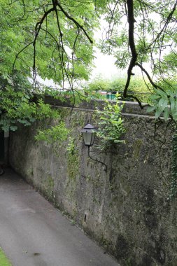 Parkta, taşların ve ağaçların arasında gezinmek.