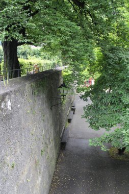 Parkta, taşların ve ağaçların arasında gezinmek.