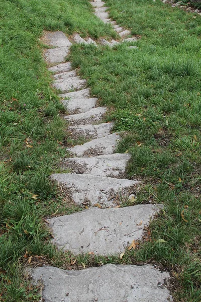 Escadas Entre Árvores Parque — Fotografia de Stock