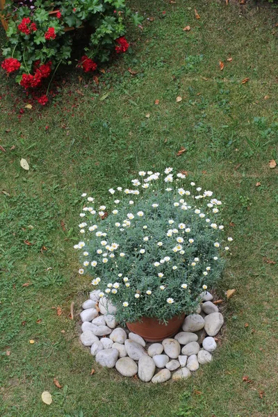 Round flower bed with flowers and stones and a pot — Stock Image Flower Bed Flowers Stones Pot Stock Picture