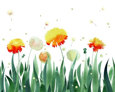 Çimlerde karahindiba, beyaz arka planda izole suluboya deseni ile kusursuz yaz sınırı