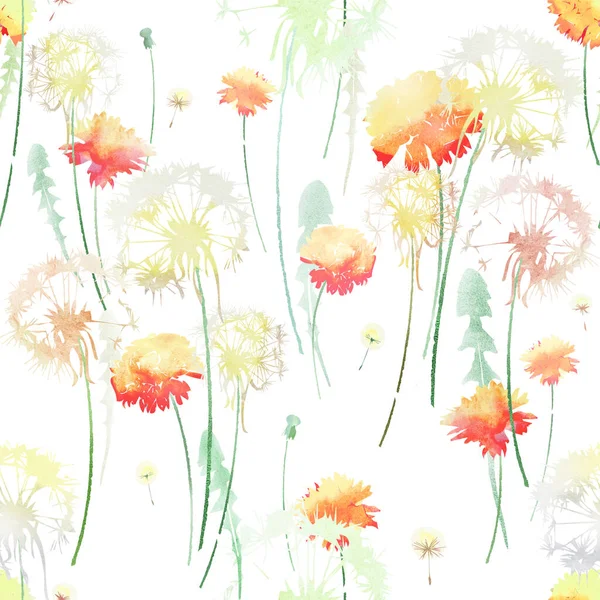 delicate watercolor pattern with dandelions isolated on white background, seamless repeating pattern with flowers in the grass