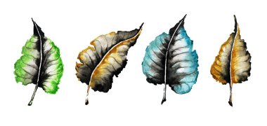 Sonbahar yaprakları beyaz arkaplanda izole edilmiş suluboya resimleme