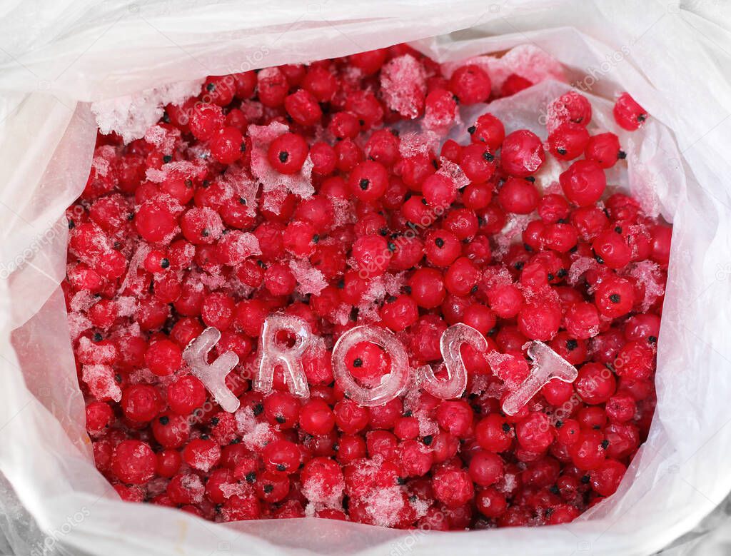 Frozen red currants and text made of ice letters close-up, berry in a bag for long-term storage in the refrigerator for the winter