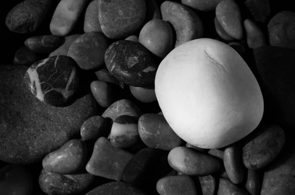 Белый Камень Фоне Черных Камней Концепция Разницы Черно Белый Контраст — стоковое фото