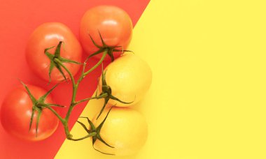 Geometrik arkaplanda domates ve limon filizi, renkli arka planda kırmızı ve sarı sebzeli dal, metin için sağda kopyalama alanı, hasat çeşitliliği konsepti