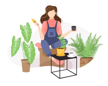 Tulumlu bir kadın bir koltuğa oturur, iç mekan bitkisi nakleder ve elinde bir kepçe tutar. Çiçek ve bahçe işleri. Ev bitkisi bakım ve bakım. 