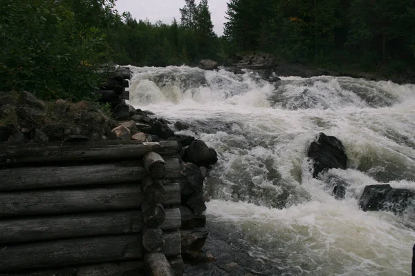 Snabb Bergsflod Norra Ryssland Kraftfull Forsande Ström Vatten Skogen — Stockfoto