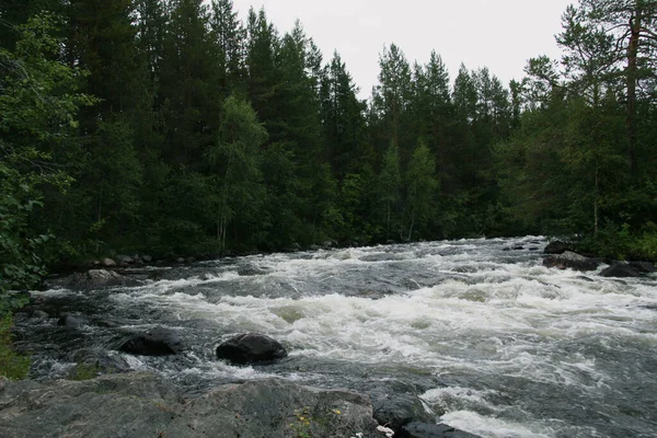 Schneller Gebirgsfluss Norden Russlands Ein Mächtiger Reißender Wasserstrom Wald — Stockfoto