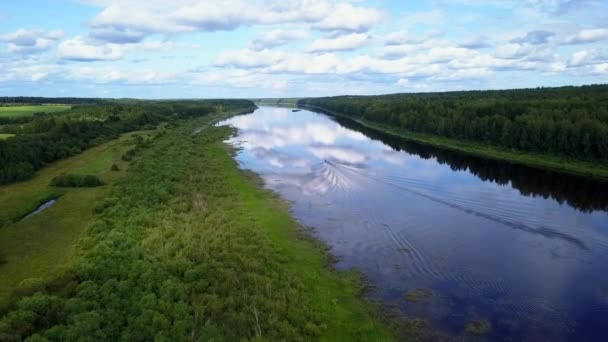 Drone Volo Fiume Campo Foresta Nel Paese — Video Stock