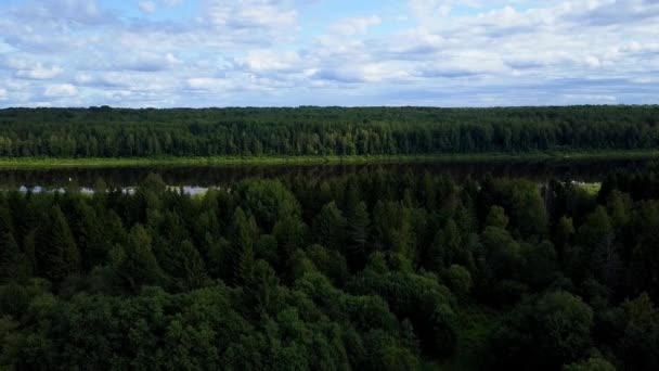 Uçuşu Bir Nehir Ormanın Üzerinde Kırsalda — Stok video
