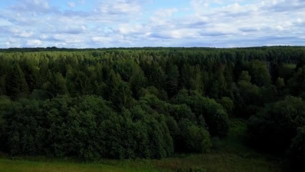 Drone Volo Fiume Campo Foresta Nel Paese — Video Stock