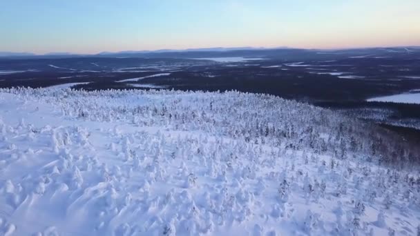 Sobrevoando Uma Encosta Coberta Neve Selvagem Sobre Árvores Bonés Neve — Vídeo de Stock