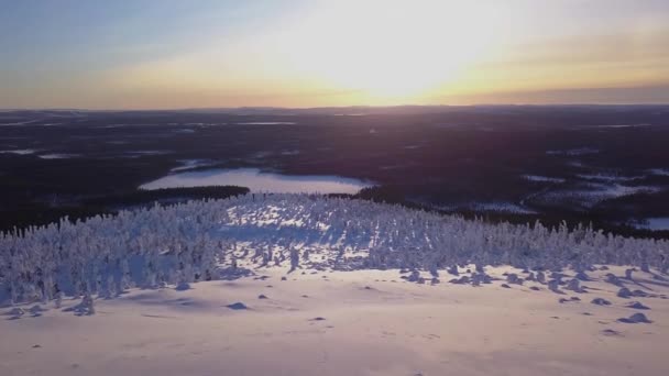 Ohromující záběry z bezpilotního letounu horského průsmyku v zasněženém lese. Dron přeletí nad horským průsmykem obklopený lesem po čerstvém sněžení v hluboké zimě — Stock video