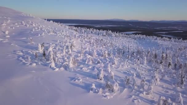 Impresionantes imágenes de drones de un paso de montaña en un bosque cubierto de nieve. El dron vuela sobre el paso de la montaña rodeado por un bosque después de la caída de nieve fresca en invierno profundo — Vídeos de Stock