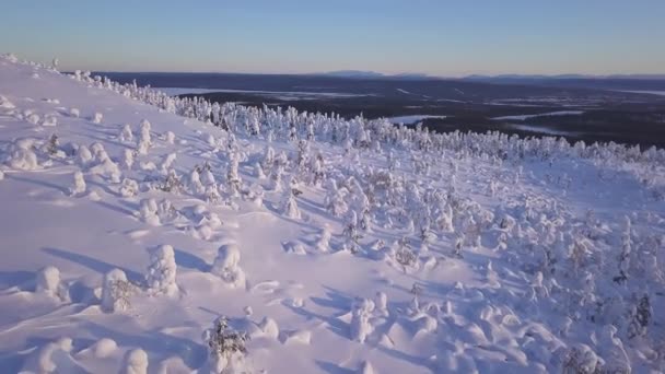 Prachtige drone beelden van een bergpas in een besneeuwd bos. De drone vliegt over de bergpas omgeven door een bos na verse sneeuw vallen in de diepe winter — Stockvideo