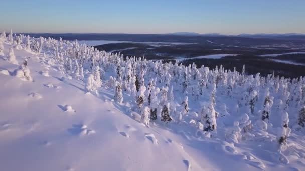 Приголомшливі кадри безпілотника гірського перевалу в засніженому лісі. Дрон летить над гірським перевалом в оточенні лісу після свіжого снігу в глибоку зиму — стокове відео